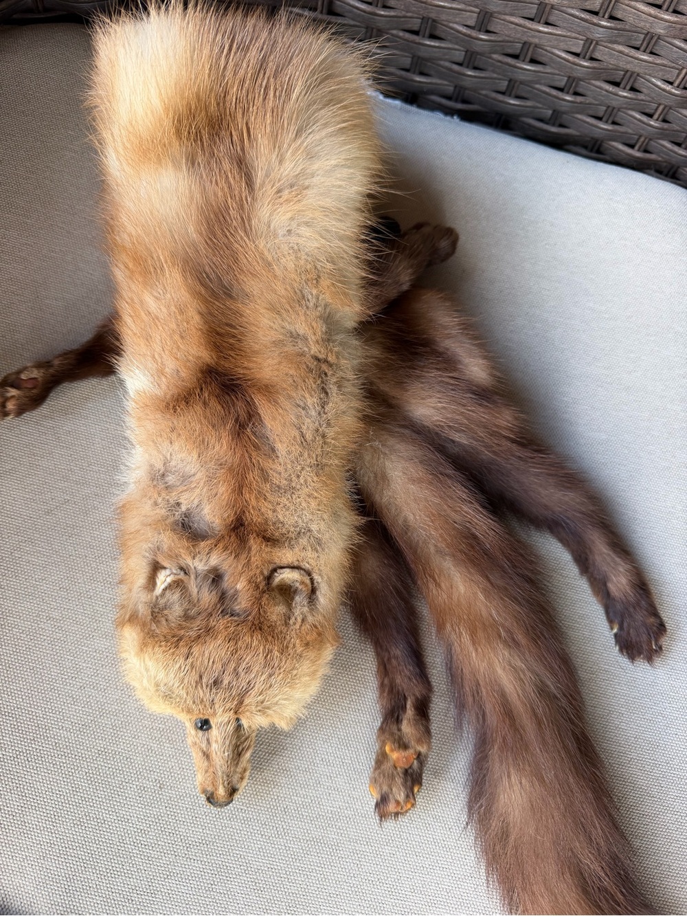Vintage Full Body Mink Pelt Stole